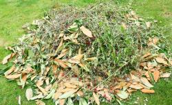 ramassge des feuilles Tremblay-en-France ramassge des feuilles Tremblay-en-France