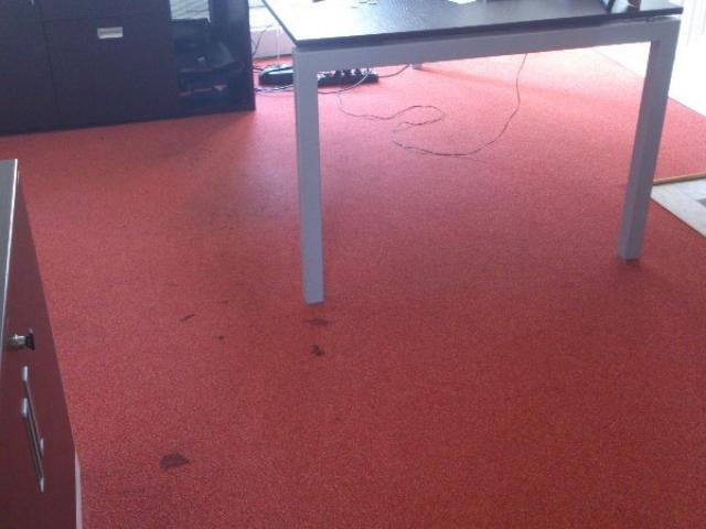 SHAMPOOINTG MOQUETTE