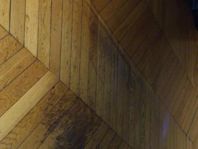 RENOVATION D'UN SOL PARQUET