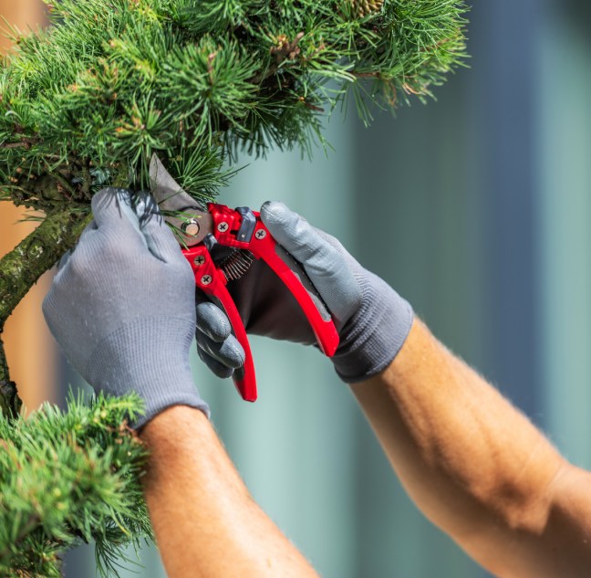 entretien des espaces verts